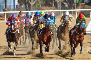  Average Jockey Weight and Height