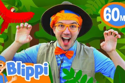 Blippi Net Worth Shocking 2024: How the Children’s Entertainer Earned $40 Million