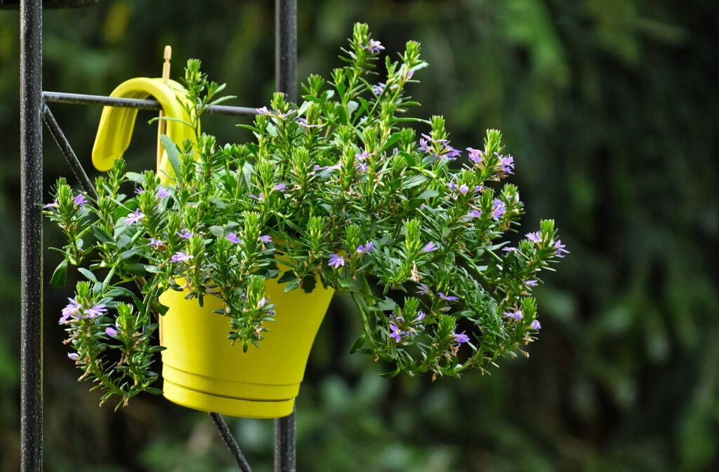 best indoor herb garden setup